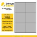 LSA4-LL06NSE-SMP - 105 x 99mm Matt Silver Polyester With Permanent Adhesive Labels, 6 labels to an A4 sheet, 100 sheets